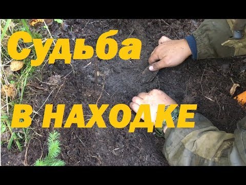 Видео: Невероятная удача!!!  Лучший подъём сезона.