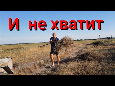 Видео: Каменная отмостка , счастливые животные , заготовка сена