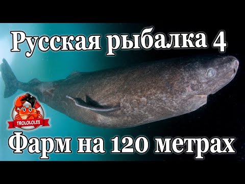 Видео: Русская рыбалка 4 Норвежское море фарм Увлекательная рыбалка