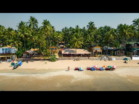 Видео: ГОА февраль 2025 Палолем Агонда Калангут Бага Морджим Дельфины