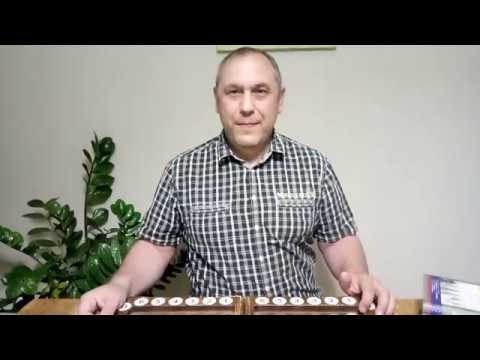 Видео: Длинные нарды. Способы мошенничества 1.