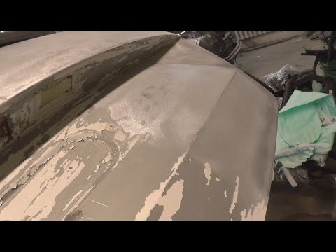 Видео: Skoda Octavia. Тотальное уничтожение "насекомых".