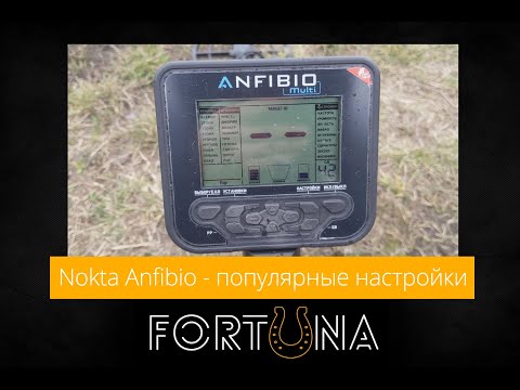 Видео: Nokta Anfibio - самые популярные настройки