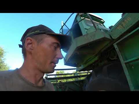 Видео: Новый комбайнёр это не шутки. Второй день уборочной 