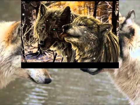 Видео: LikBes Моя Волчица.