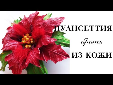 Видео: Мастер класс. Цветок из кожи. Пуансеттия