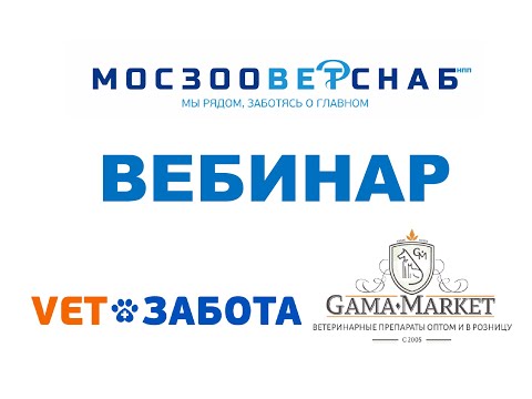 Видео: Дерматологические проблемы собак и кошек
