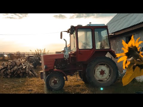 Видео: Сільська робота на т 25. Літо 2023