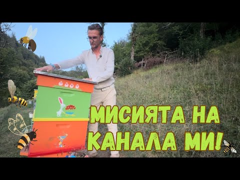 Видео: РАЗХОДКА ЗА ПОДХРАНВАНЕ - Първият ми ВЛОГ