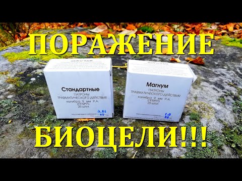 Видео: Патроны ФОРТУНА: СТАНДАРТ VS МАГНУМ Часть 1. FORTUNE Cartridges: STANDARD VS MAGNUM Part 1.