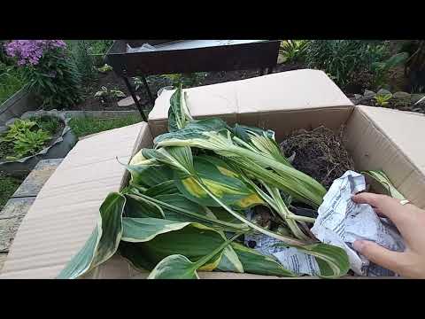 Видео: Шок😱 посылка😭