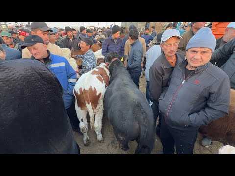 Видео: БОКИЛГАН ЁШ НОВВОСЛАР 2-НОЯБР УРГАНЧ МОЛ БОЗОРИ ЭРТАЛАБГИ САВДОЛАР !!! ХОРАЗМ БОЗОР 