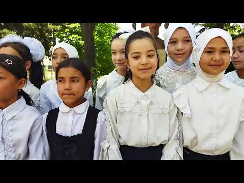 Видео: ОТЛИЧНИКИ