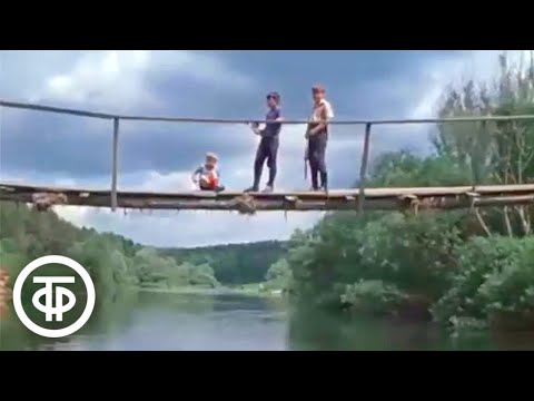 Видео: Лето на Москве-реке. Кинозарисовка (1980)