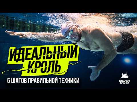 Видео: Плавание - научись сам. 5 простых шагов - КАК плыть быстрее
