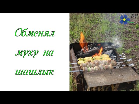 Видео: Обменял муху на шашлык