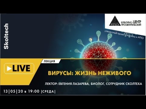 Видео: Онлайн-лекция "Вирусы: жизнь неживого" в рамках проекта "Сколтех в Архэ"