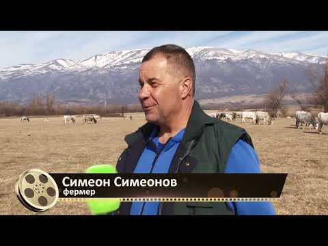 Видео: Те победиха: Вяра в избора, автор: Валентина Спасова