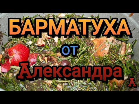 Видео: БАРМАТУХА от Александра ОТ и ДО. 2025