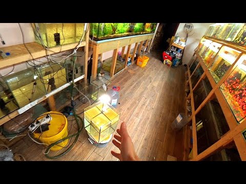 Видео: Немного работы на разводне