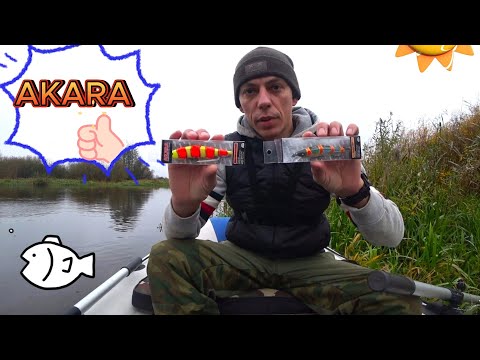 Видео: Воблеры АКАРА! Щука ломает стереотип о цвете воблера, редкие полосатики в арсенале рыболова!