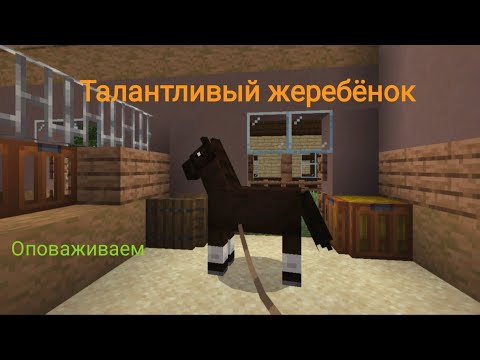 Видео: Майнкрафт | Оповаживаем Доллара | Очень послушный жеребёнок 🤗