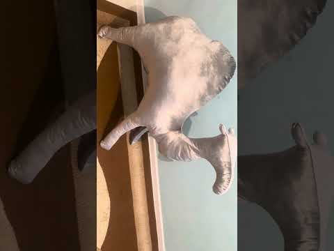 Видео: Түйе тігіп үйренеміз лекала бойынша +77718276260