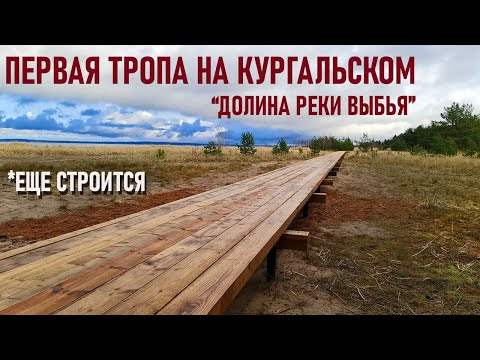 Видео: Тропа "Долина реки Выбья и Лужская Губа", ООПТ Кургальский полуостров, строящаяся экотропа
