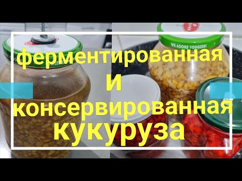 Видео: Ферментированная и консервированная кукуруза на карпа в домашних условиях