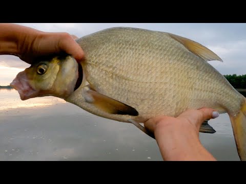 Видео: Не могу поднять ИХ с омута! Как вкусно ПОЖАРИТЬ  ЩУКУ! Рыбалка на Иртыше.