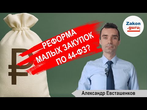 Видео: Малые закупки по 44 ФЗ: очередная реформа?