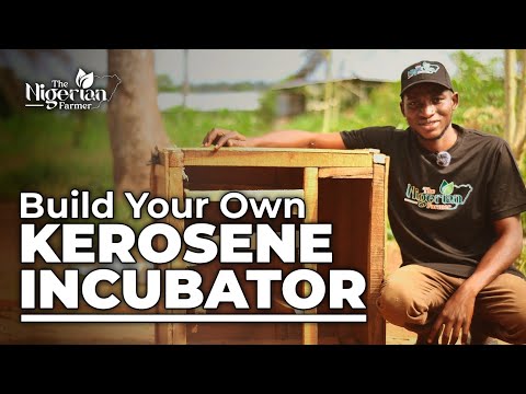 Видео: Давайте вместе построим керосиновый инкубатор и станем миллионером!