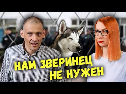Видео: Тихановский заходит на локейшн: подробности гастролей в США