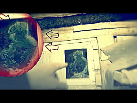 Видео: Демон в старом доме Увиденное шокировало нас