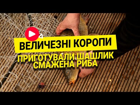 Видео: Перші величезні коропи на відкритій воді 2024. Рецепт приготування риби, гарна чоловіча компанія