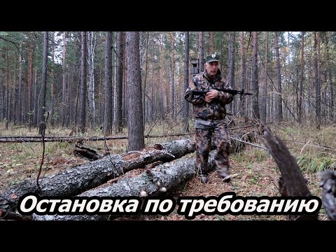 Видео: Остановка по требованию охотинспектора.