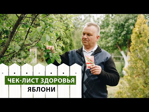 Видео: ЧЕК-ЛИСТ здоровья яблони
