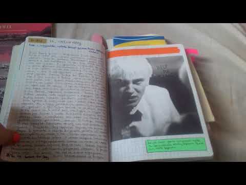 Видео: Дневник Арины/Personal diary