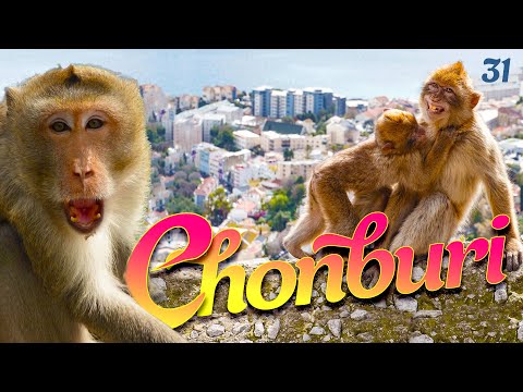 Видео: ЧОНБУРИ - ЭТО ВАМ НЕ ПАТТАЙЯ! ПЛЯЖ БАНГ САЕН. ГОРА ОБЕЗЬЯН. ГРАНД КАНЬОН. CHONBURI GRAND CANYON