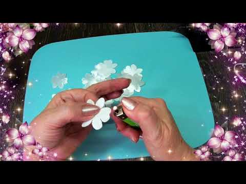 Видео: Мастер класс  Фиалки