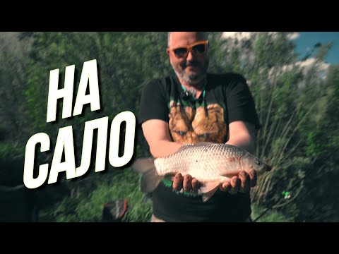 Видео: 24 часа на берегу Цивиля. Ловля карася на САЛО