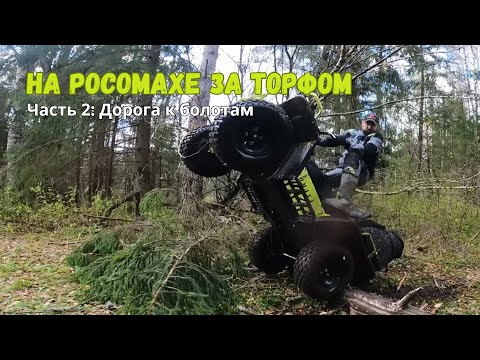 Видео: На "Росомахе" за торфом. Часть 2 "Дорога к болотам"