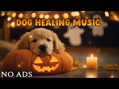 Видео: 🎵 Расслабляющая музыка для собак 🐶 Успокаивает тревогу и стресс | 12 часов без рекламы