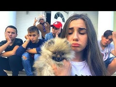 Видео: Нашли маленького ЩЕНКА! Няня Против
