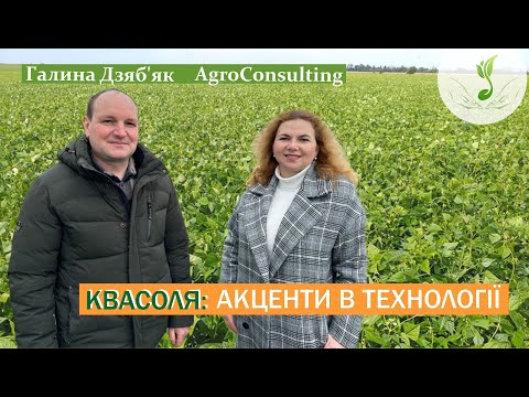 Видео: Андрій Хомин: досвід вирощування квасолі за 6 років