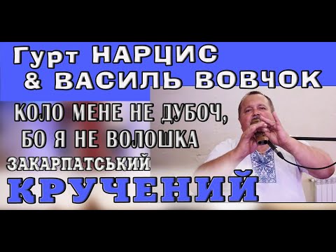 Видео: Гурт НАРЦИС & ВАСИЛЬ ВОВЧОК - КОЛО МЕНЕ НЕ ДУБОЧ, БО Я НЕ ВОЛОШКА #коломийка