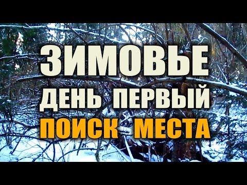 Видео: ЗИМОВЬЕ В ЛЕСУ. ПОИСК МЕСТА ПОД ШАЛАШ. Жилье в лесу на длительный срок. Бушкрафт. Выживание.