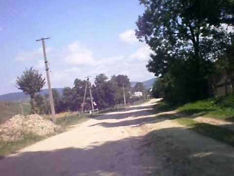 Видео: Прощання з Дністриком Дубовим