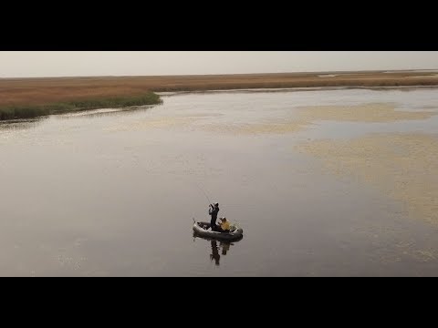 Видео: Рыбалка в плавнях. Ловля щуки на лиманах