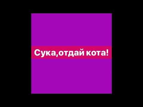 Видео: МУККА - ОТДАЙ КОТА